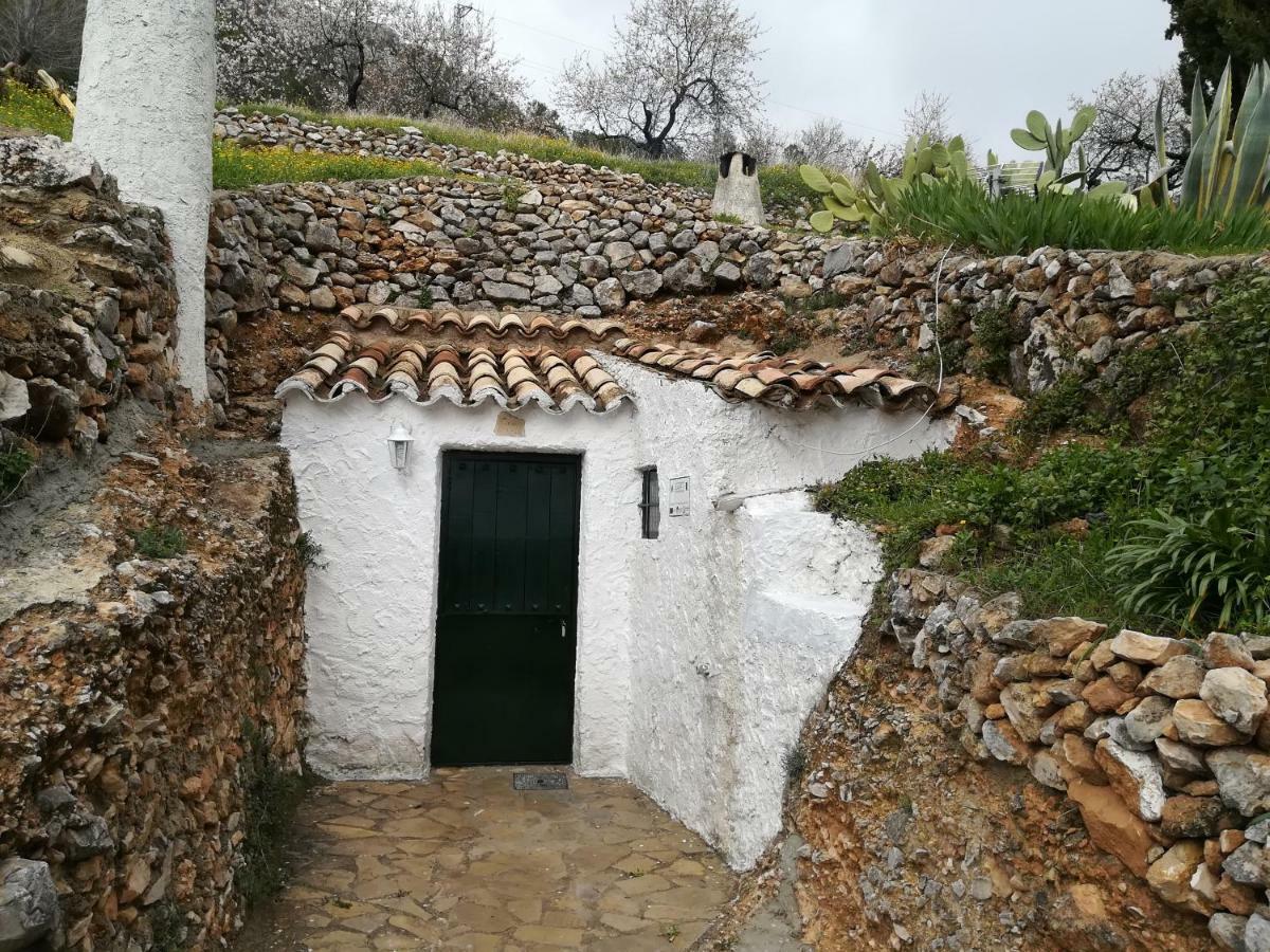 Cueva El Madrono *